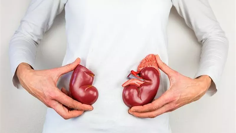  الصحة تحذر من تجاهل علامات أمراض الكلى: أعراض بسيطة قد تنذر بمشكلة خطيرة
