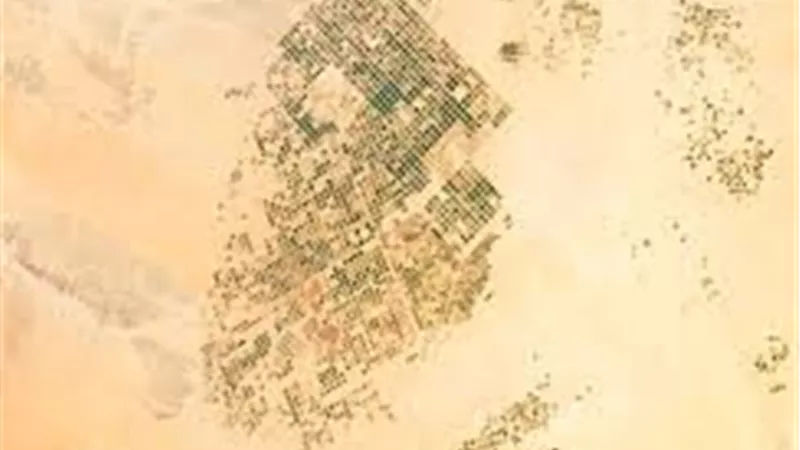 «فيض النعم» السودانية تنقل استثماراتها إلى مصر بعد تدمير مشروعها في دنقلا
