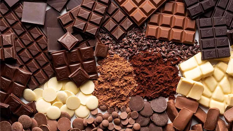 مهددة بالإنقراض.. تعرف على أهمية الشوكولاتة في يومها العالمي 