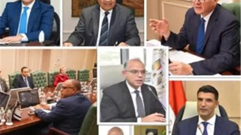 كريم بدوي: سداد المستحقات أعاد إنتاج البترول إلى مسار النمو