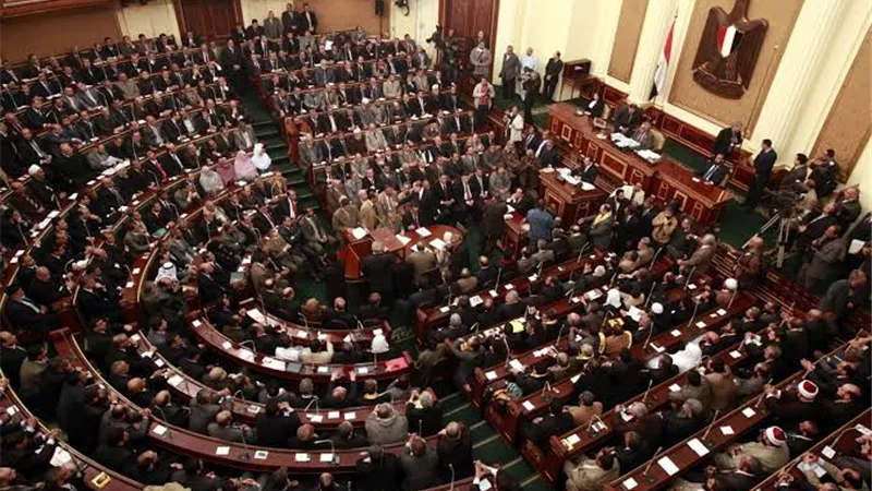 طلب إحاطة لدمج العاملين المستقلين في منظومة التأمينات والحماية الاجتماعية