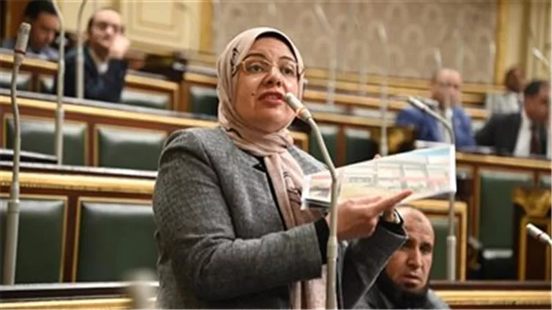 استحقاق دستوري..ريهام عبد النبي ترحب بدعوة الرئيس لإجراء انتخابات المحليات