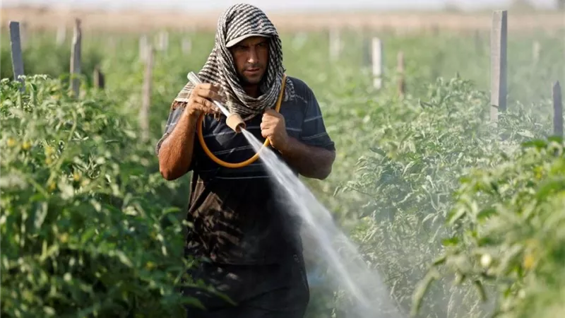 8652 عبوة جاهزة للبيع.. سقوط مصنع غير مرخص للمبيدات في قبضة الزراعة