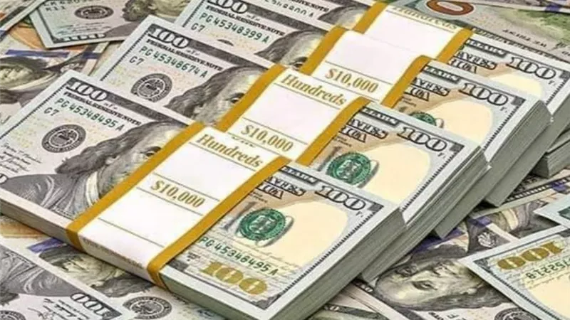 الدولار بـ 50.37 جنيه.. تعرف على أسعار العملات الأجنبية اليوم