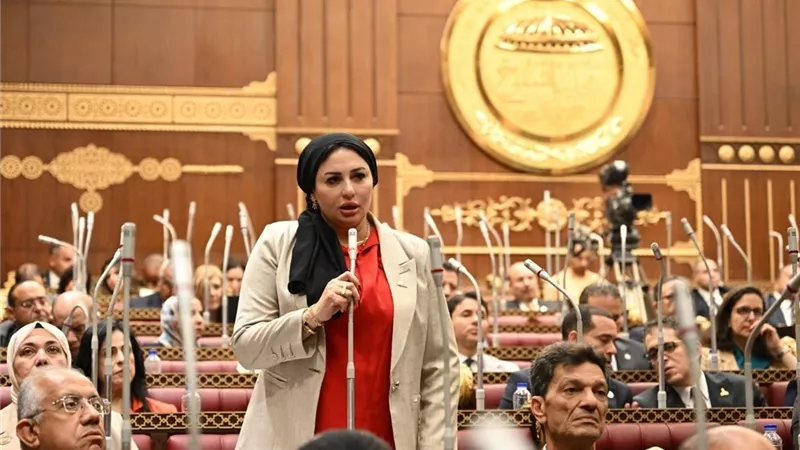 مقترح برلماني لتوفير طفايات حريق بالمنازل وتعميم حنفيات إطفاء بالشوارع