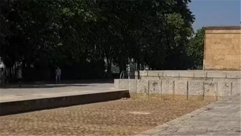 بعد سور بركة رمسيس.. هل حان وقت تجفيفها وتغيير تجربة زيارة المتحف الكبير؟ 