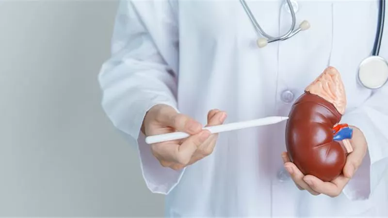 الصحة تكشف عن أعراض في البول والجسم قد تكشف مرضًا خطيرًا مبكرًا