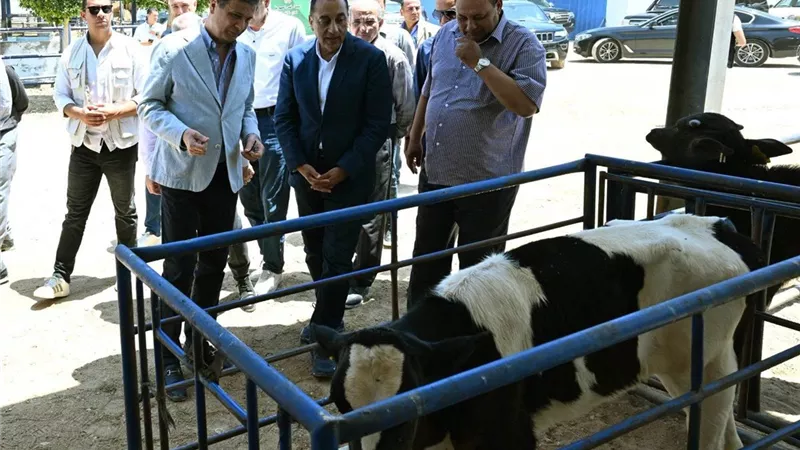 مدبولي: قطاع الإنتاج الحيواني أساس محوري لتحقيق التنمية الاقتصادية|صور