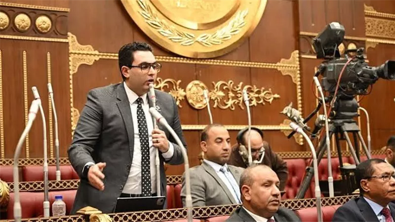 عضو بالشيوخ: حق الأداء العلني استحقاق قانوني يحفظ حقوق المبدعين