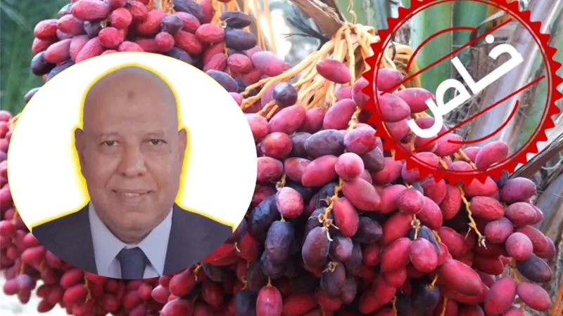 عز الدين العباسي: 24 مليون نخلة و160 مليون دولار صادرات التمور المصرية|خاص