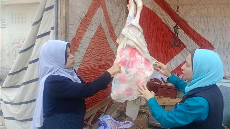 المنيا: تحرير 31 محضرًا وضبط 207 كجم لحوم ودواجن وأسماك غير صالحة