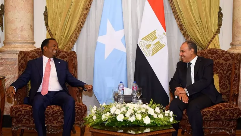 مصر تجدد دعمها الكامل لوحدة الصومال وسيادته الوطنية