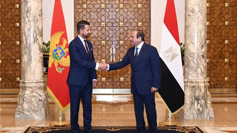 اليوم.. الرئيس السيسي يستقبل رئيس جمهورية الجبل الأسود 
