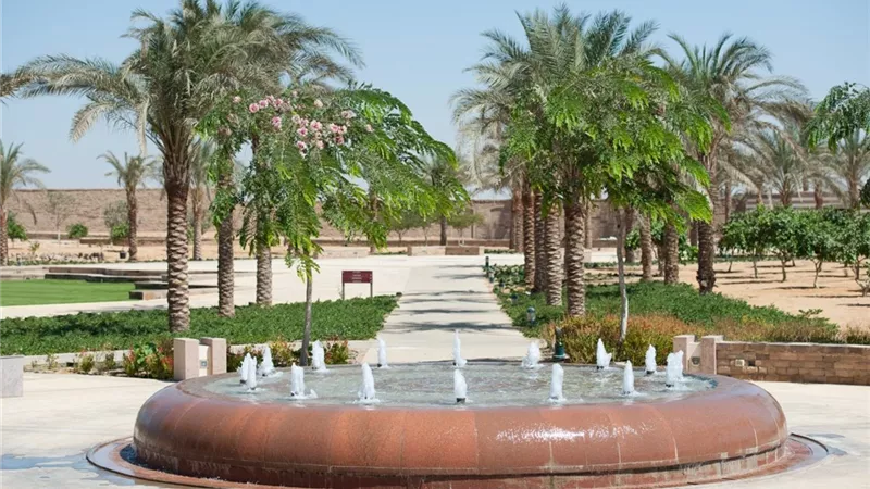 الجامعة الأمريكية بالقاهرة تطلق الإصدار الرابع من تقرير الاستدامة