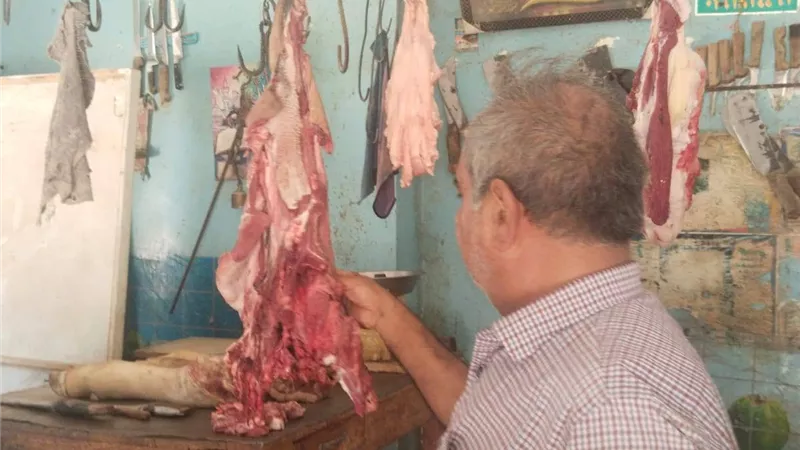 ضبط لحوم فاسدة وإعدام عجل غير صالح خلال حملات بيطرية بأسيوط