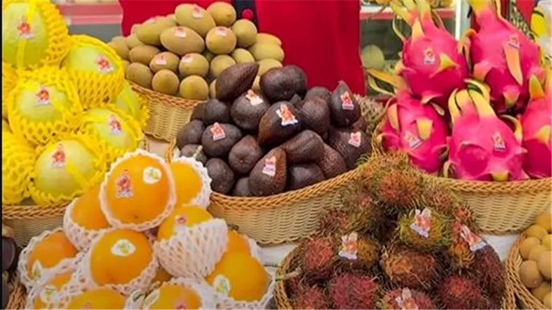 تعرف على أشهر الفواكه الاستوائية.. وأيها يُزرع في مصر؟