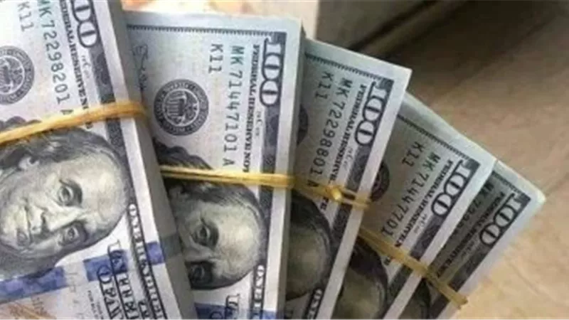 الدولار يتراجع دون 51 جنيهًا أمام الجنيه.. ويفقد حتى 65 قرشًا في البنوك