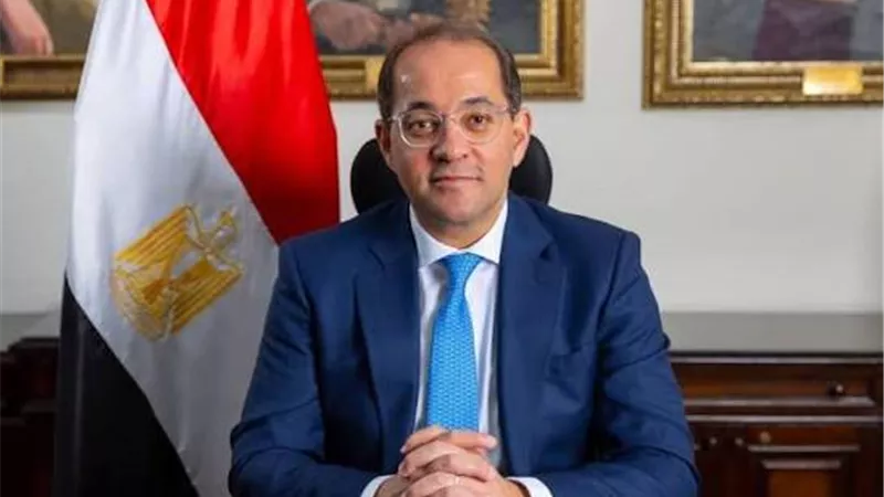 وزير المالية يعلن مد فترة تقديم إقرارات الضريبة العقارية حتى سبتمبر
