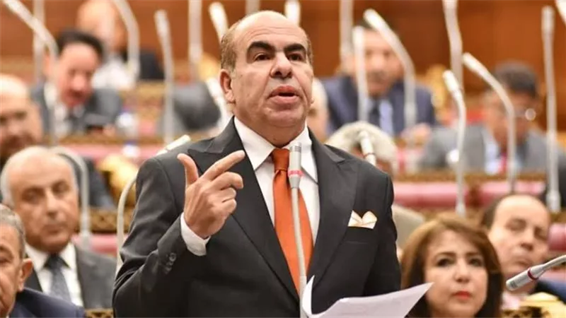 سؤال برلماني بشأن معايير السلامة والتشغيل في حمامات السباحة بمصر
