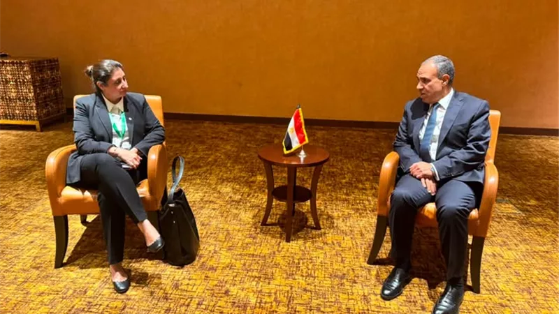 وزير الخارجية يبحث مع مسؤولة أممية دعم الأمن والاستقرار في الصومال