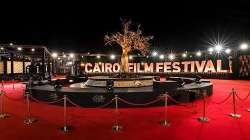 مهرجان القاهرة السينمائي يمد فترة استقبال أفلام الدورة الـ 47 حتى 15 أغسطس