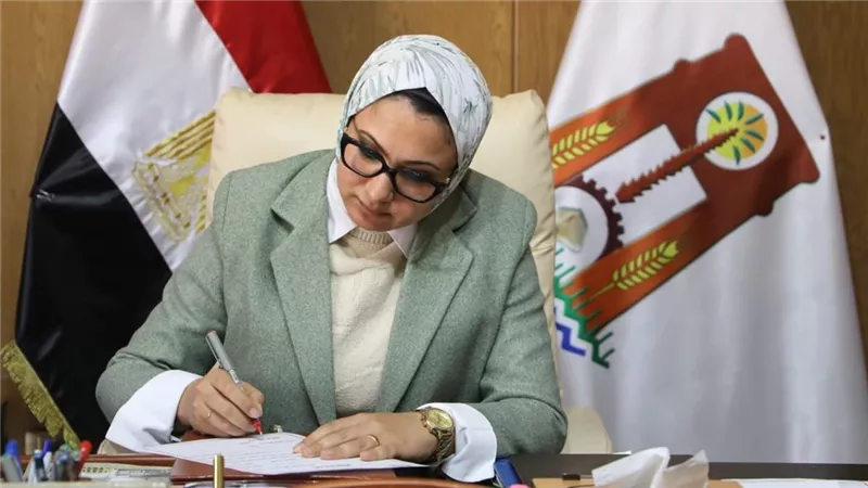 الوادي الجديد: إنشاء لجنة أورام بالتأمين الصحي لخدمة مركز الداخل