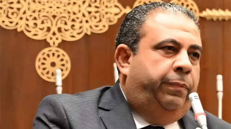 برلماني يكشف أهمية المكون المحلي في خفض فاتورة الاستيراد
