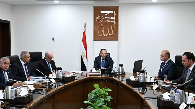 الحكومة تعيد رسم خريطة شركات قطاع الأعمال.. ومدبولي: تعظيم الأصول أولوية 