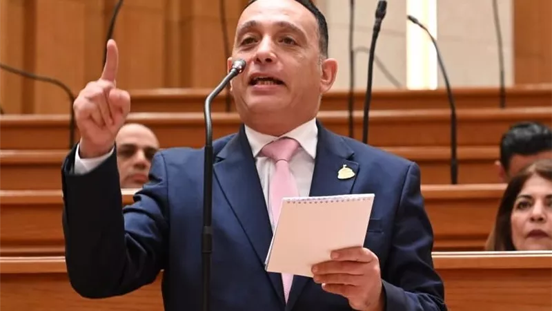 فريدي البياضي يطالب بمنظومة قومية للإنذار المبكر من الكوارث