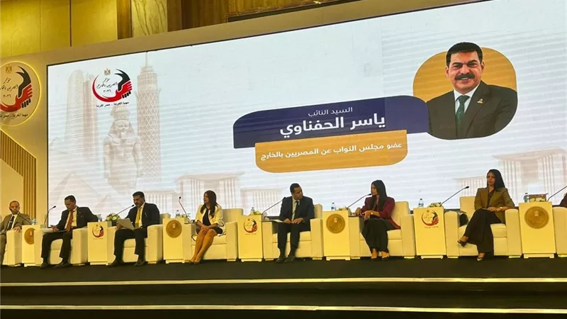 الحفناوي يطرح رؤية شاملة لدعم المصريين بالخارج تشمل 