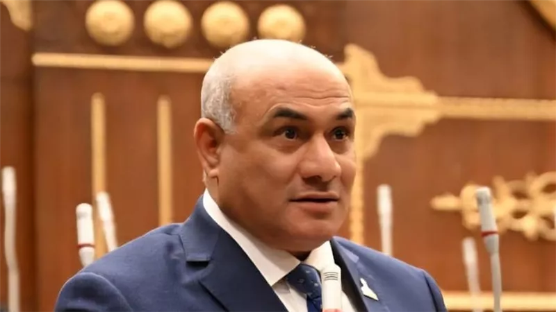 عضو بالشيوخ: اجتماع القاهرة خطوة مهمة لتثبيت الهدنة وإعادة إعمار غزة
