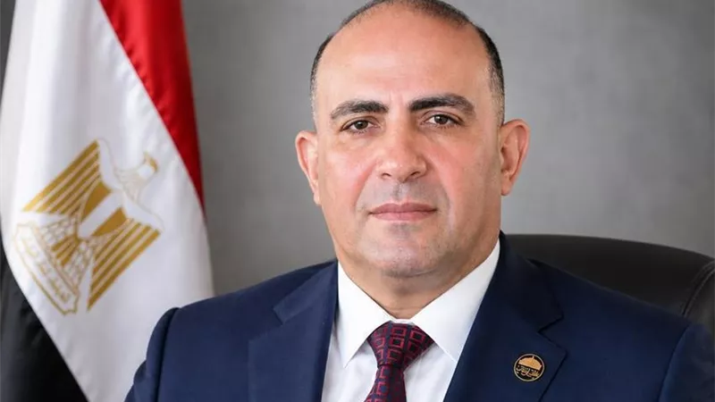 محمد سليم: الدولة حريصة على توطيد علاقتها بالمصريين في الخارج