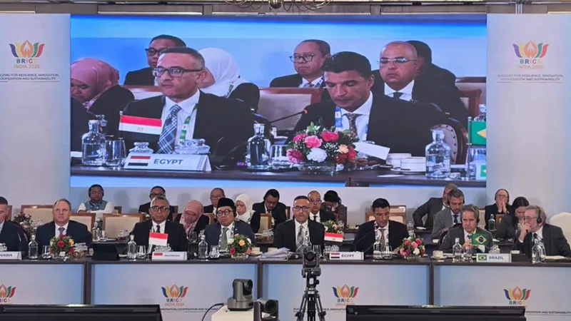 وزير الصناعة يدعو إلى مشروعات إنتاجية مشتركة بين دول البريكس