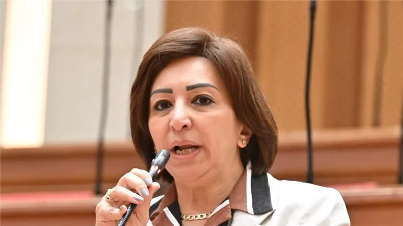 مها عبد الناصر عن تسجيل أرقام محمول دون علم: هناك تحركات لإطلاق برنامج رقابي