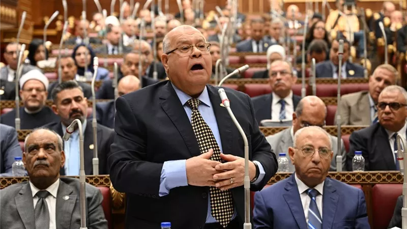 الشهابي يطالب بمنع تسجيل خطوط المحمول بأسماء المواطنين دون علمهم |خاص