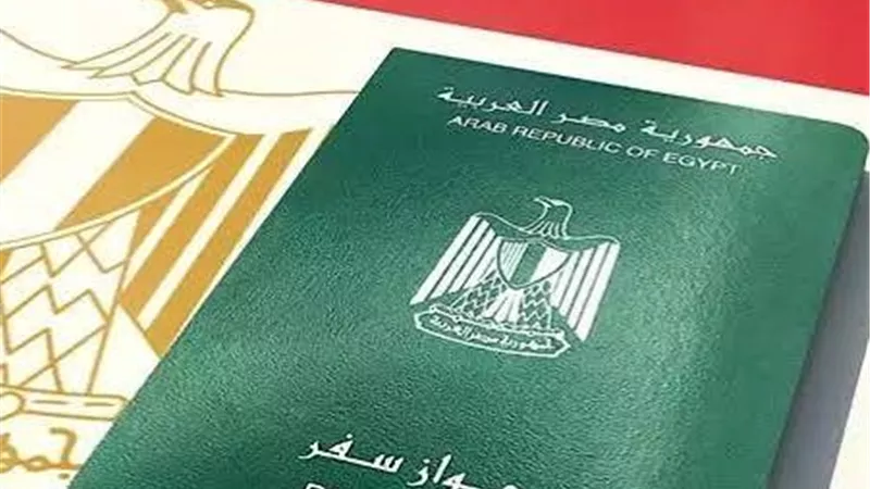 الداخلية تأذن لـ21 مصريًا بالتجنس بجنسيات أجنبية مع الاحتفاظ بالمصرية