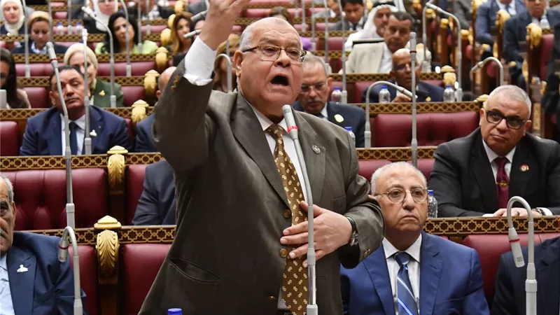 الشهابي يطالب بمنع تسجيل خطوط المحمول بأسماء المواطنين دون علمهم |خاص