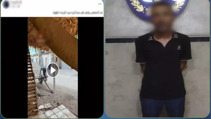 كسر أسنانها.. ضبط عامل بعد التعدي على سيدة مسنة بالدقهلية