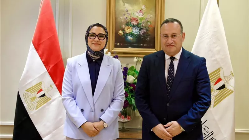 التعليم العالي تبحث مع محافظ الوادي الجديد دعم المشروعات التعليمية والصحية
