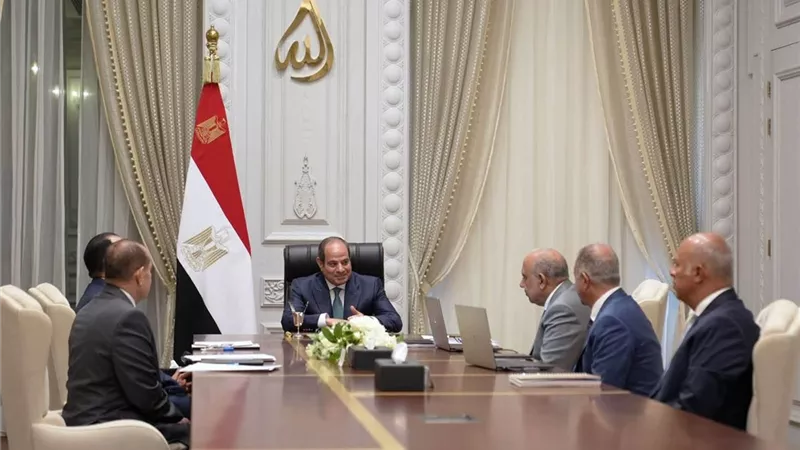 السيسي يوجه بتوطين صناعات الطاقة الجديدة ودعم بطاريات تخزين الكهرباء