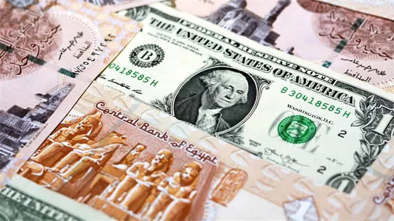 سعر الدولار مقابل الجنيه اليوم الجمعة 14 أغسطس 2026 في البنوك