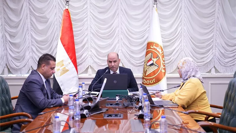 وزير العمل يبحث تيسير تأسيس المنظمات النقابية