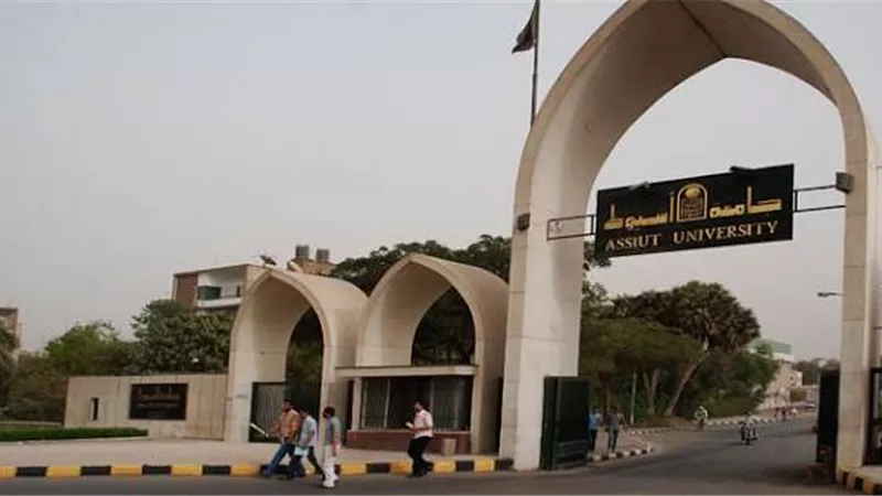 تربية طفولة مبكرة بأسيوط: 3 أقسام و4 برامج لإعداد كوادر مؤهلة