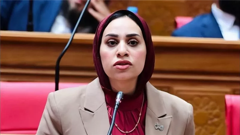 برلمانية تطالب بقواعد موحدة لتنفيذ أحكام الرؤية وإطار واضح للاستضافة