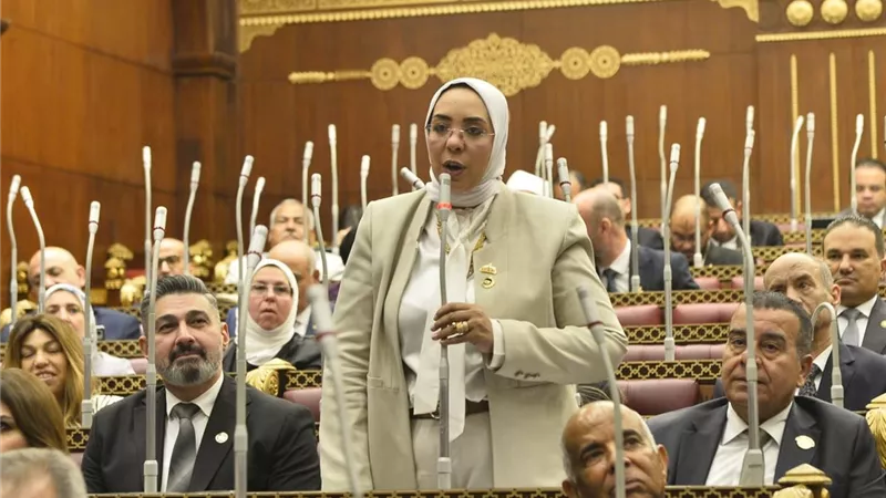 وفاء رشاد: مصر لا تقبل فرض الأمر الواقع على حقوقها المائية