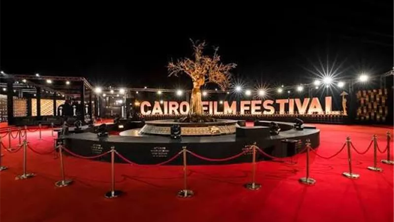 «القاهرة السينمائي» يفتح باب التقديم للمواهب ضمن برنامج «الموجة الجديدة»