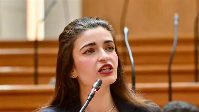 إيرين سعيد: الشعب ليس جاهلًا.. وانتقاد التعليم هدفه حماية مستقبل أولادنا
