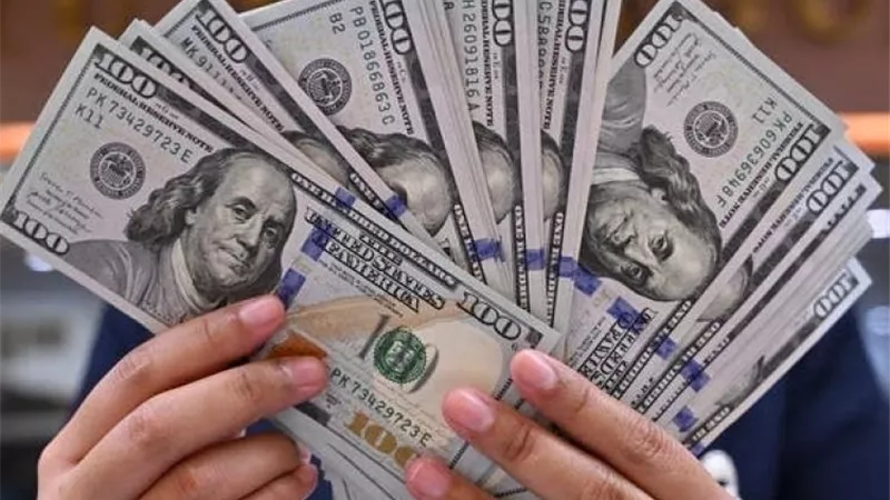 استقرار الدولار أمام الجنيه.. تعرف على الأسعار اليوم