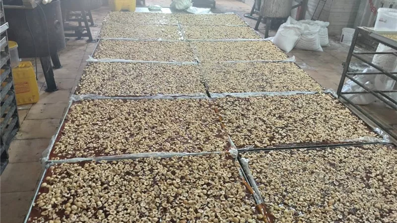 ضبط أكثر من 30 طن خامات وحلويات داخل منشأتين غير مرخصتين بالإسكندرية