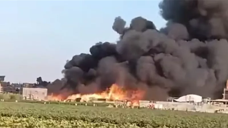 حريق داخل محطة لتصدير الموالح في منيا القمح بالشرقية.. والدفع بـ5 سيارات